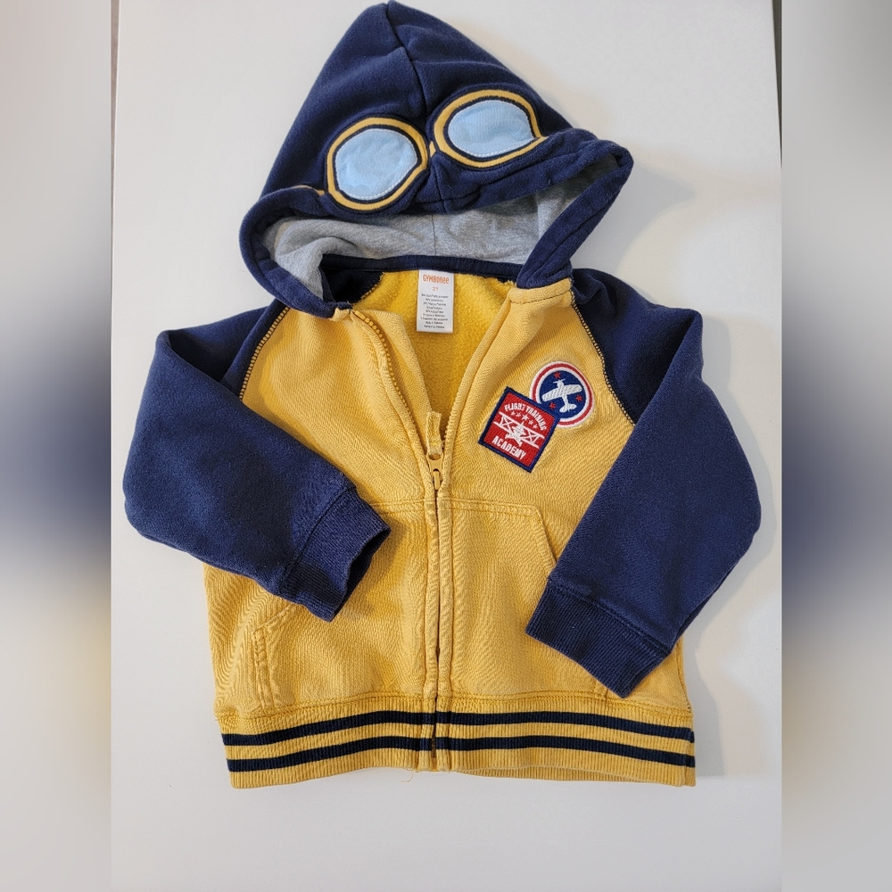 Gymboree Boys Zippered Hoodie
